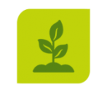 icon of growing sprout on organic compost page